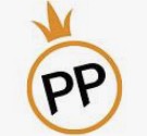 PP电子(中国)官方入口